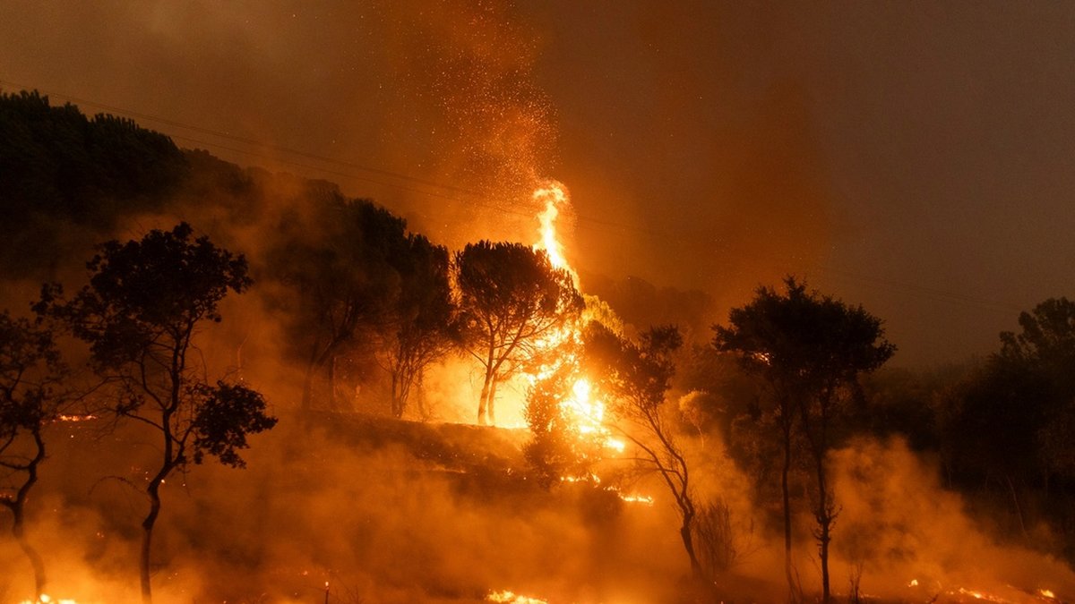 En av de många skogsbränder som härjat i nordöstra Grekland de senaste veckorna. Bilden är från den 22 augusti. Arkivbild.