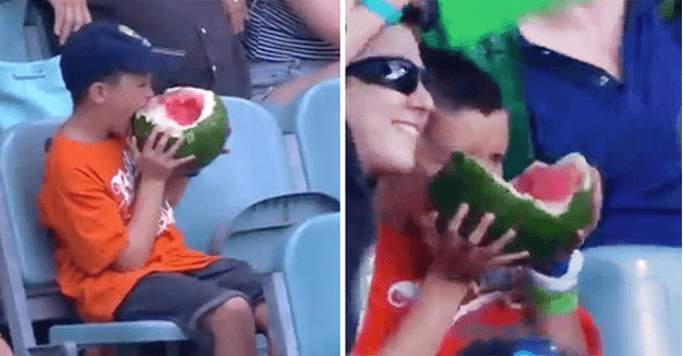 Cricket, vattenmelon