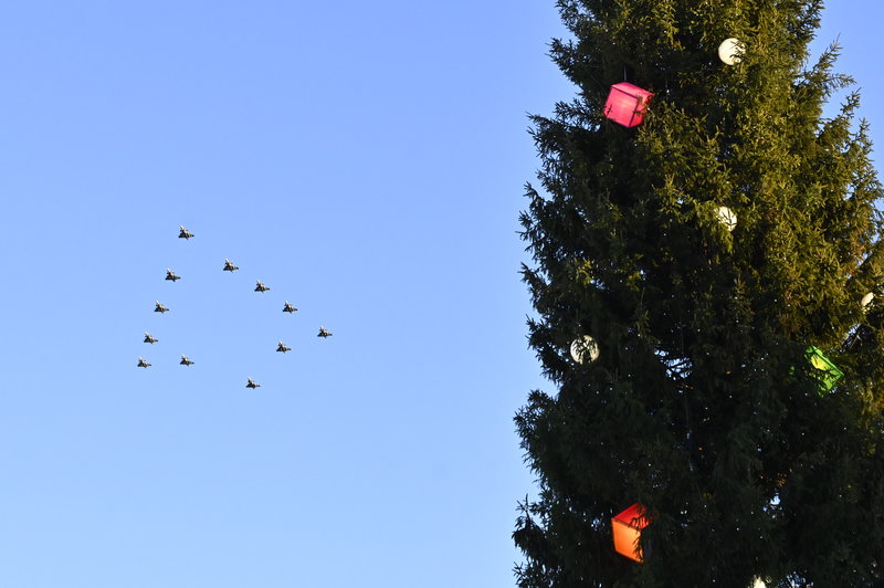 Julgransflygning. Foto: Anders Wiklund/TT