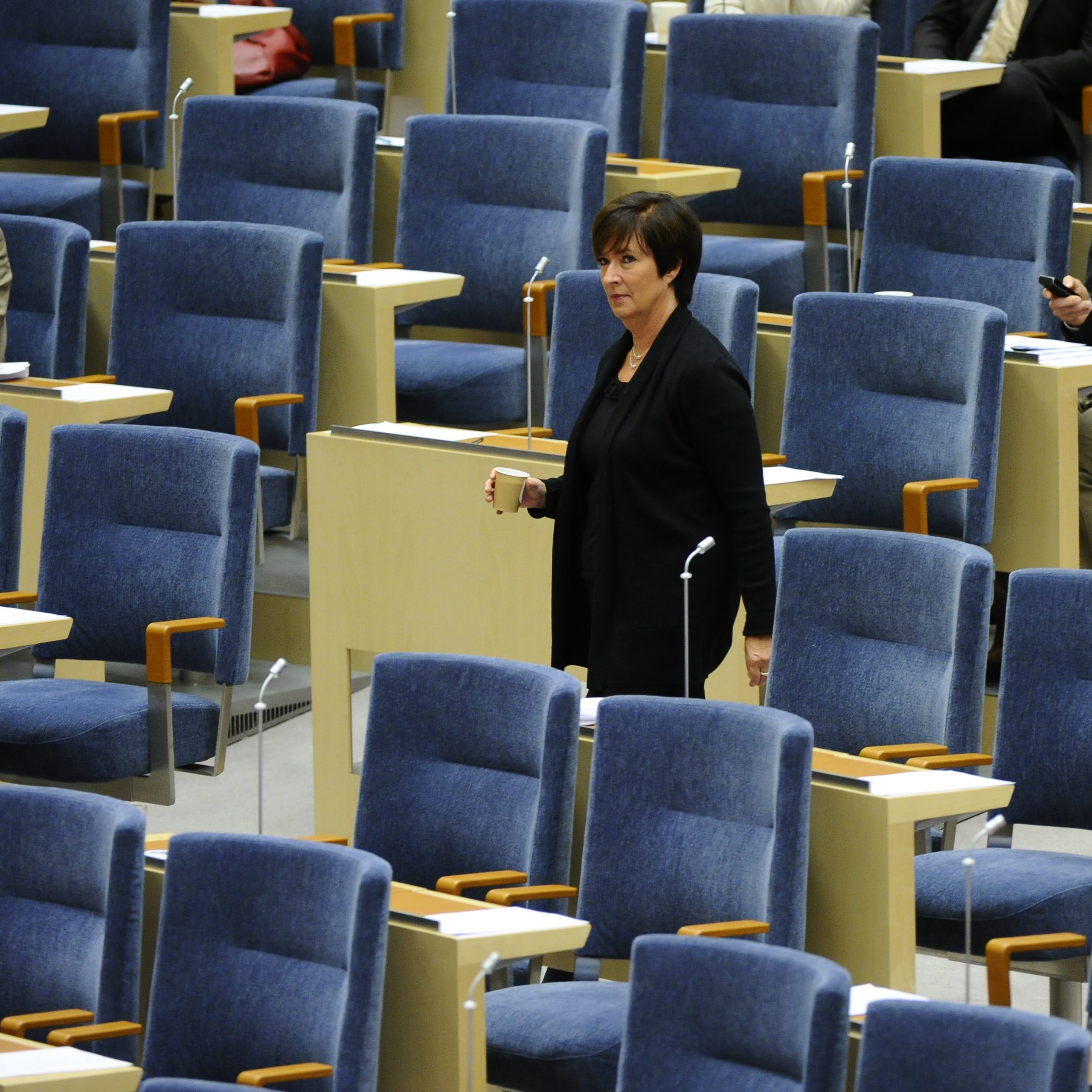 Rödgröna regeringen, Socialdemokraterna, Mona Sahlin, Riksdagsvalet 2010, Oppositionen, Ibrahim Baylan, Avgå