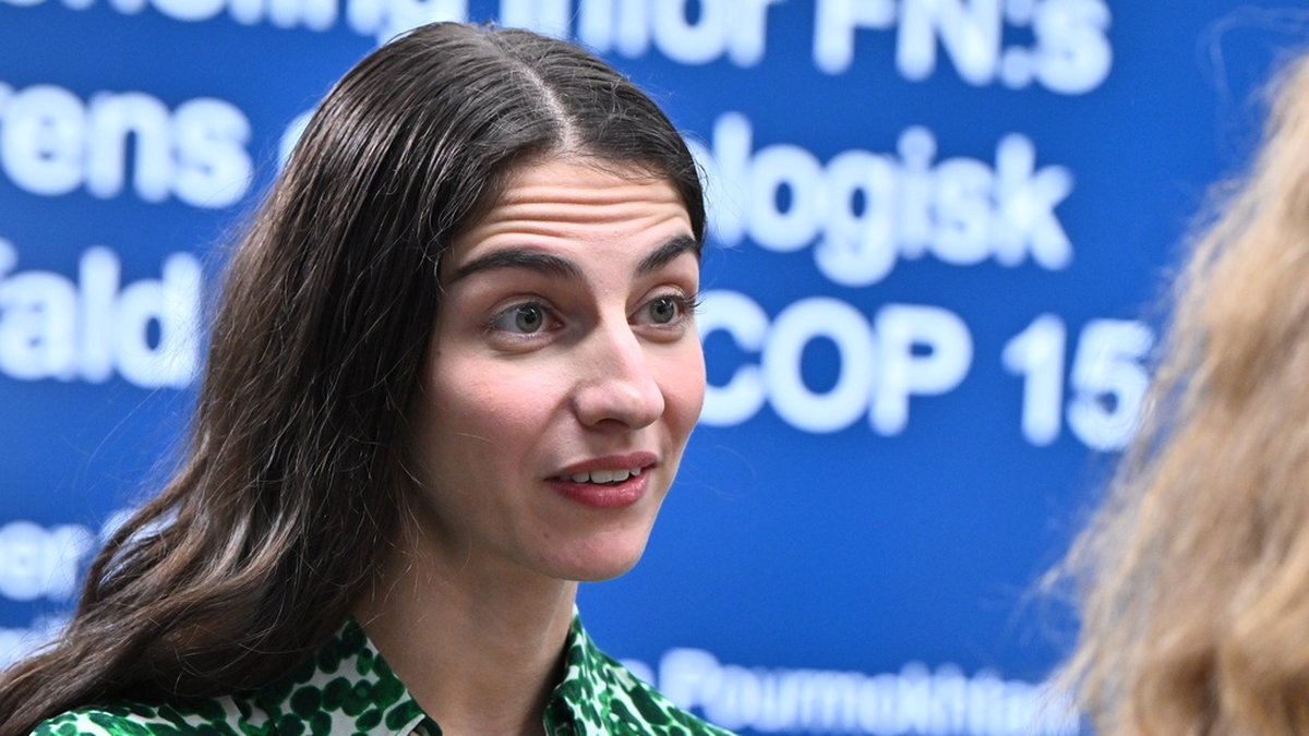 Klimat- och miljöminister Romina Pourmokhtari (L) under en presskonferens inför FN:s konferens