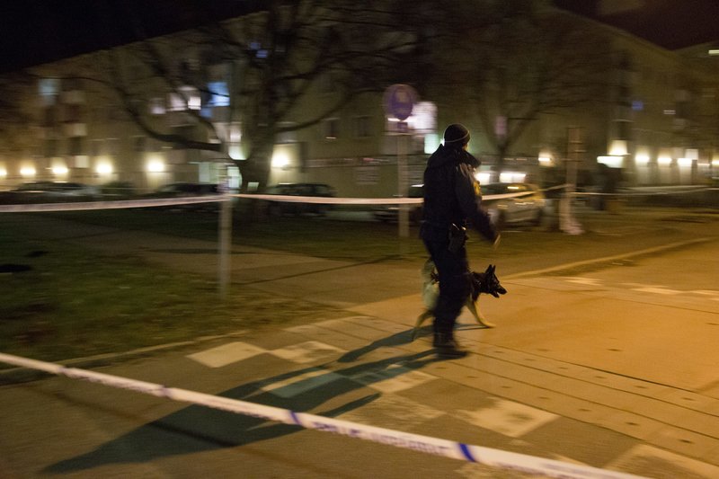 Genrebild. Foto: Björn Larsson Rosvall / TT Genrebild. Foto: Björn Larsson Rosvall / TT