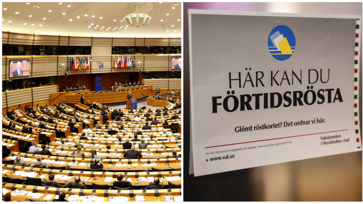 I Europaparlamentet har Sverige 20 mandat. 