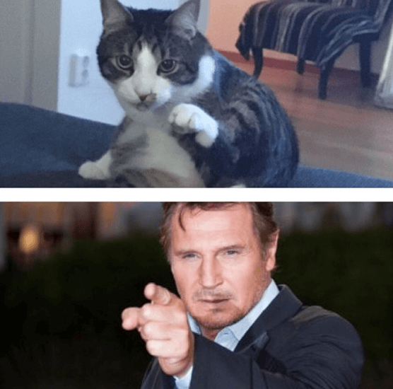 Liam Neeson. Liam Neeson.