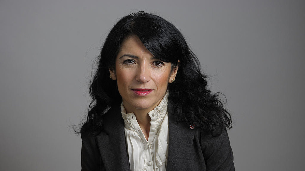 Amine Kakabaveh, Vänsterpartiet. 