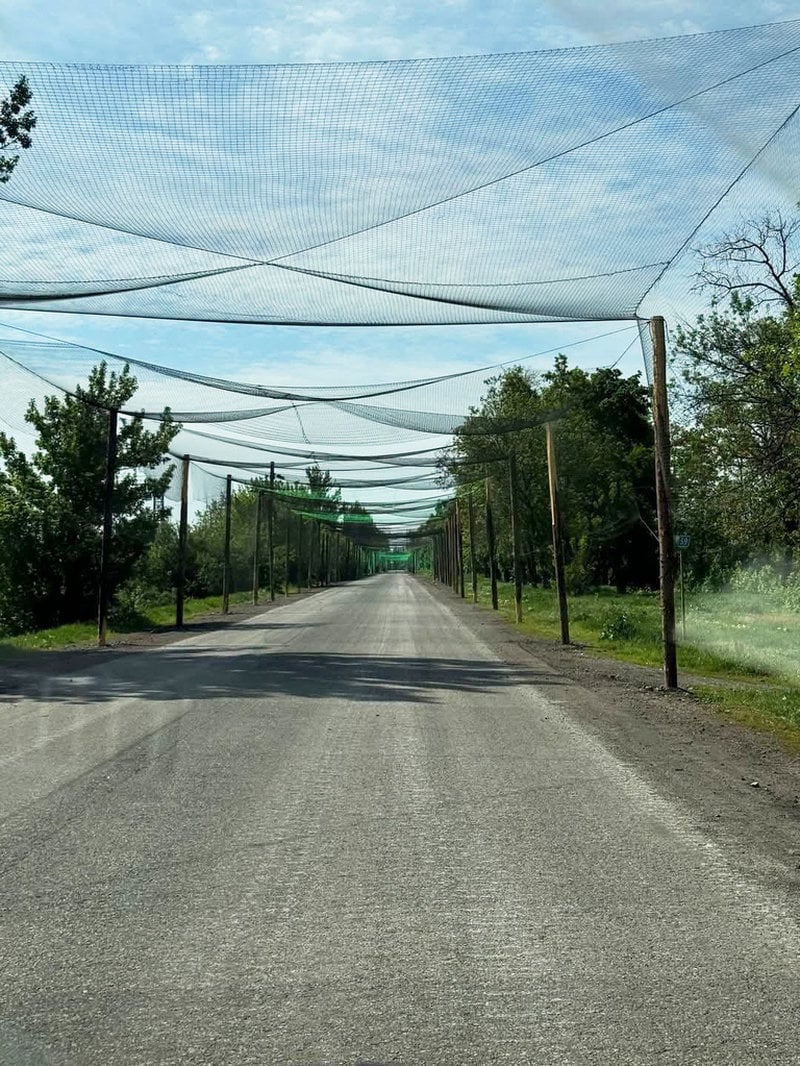 Fisknäten hängs upp över vägar i Ukraina.