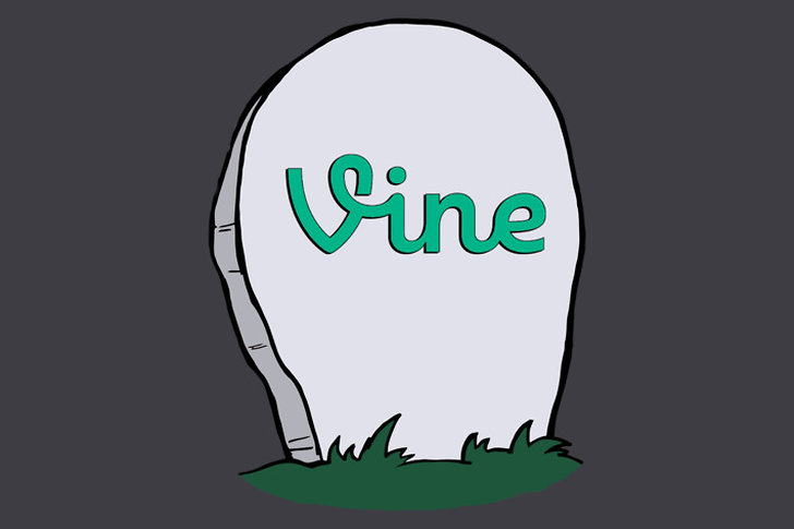 Vine var en populär app som försvann Vine var en populär app som försvann