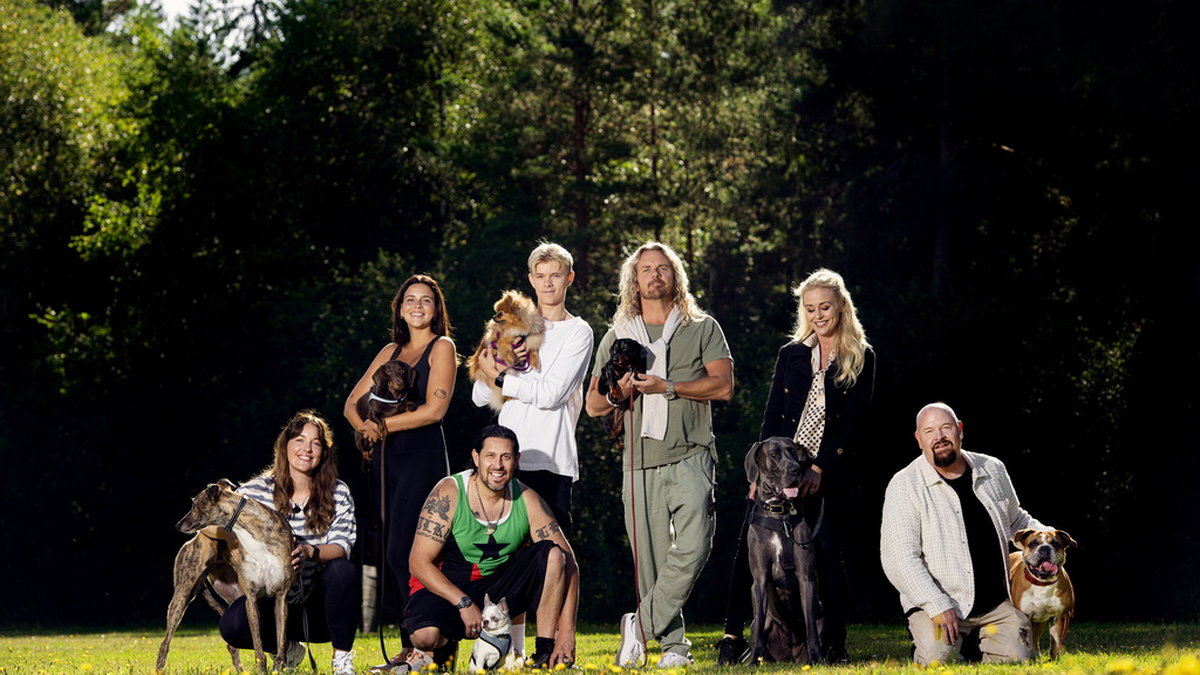 Sju kända svenskar tävlar med sina hundar i det nya underhållningsprogrammet 'Underdogs' i SVT. Pressbild.