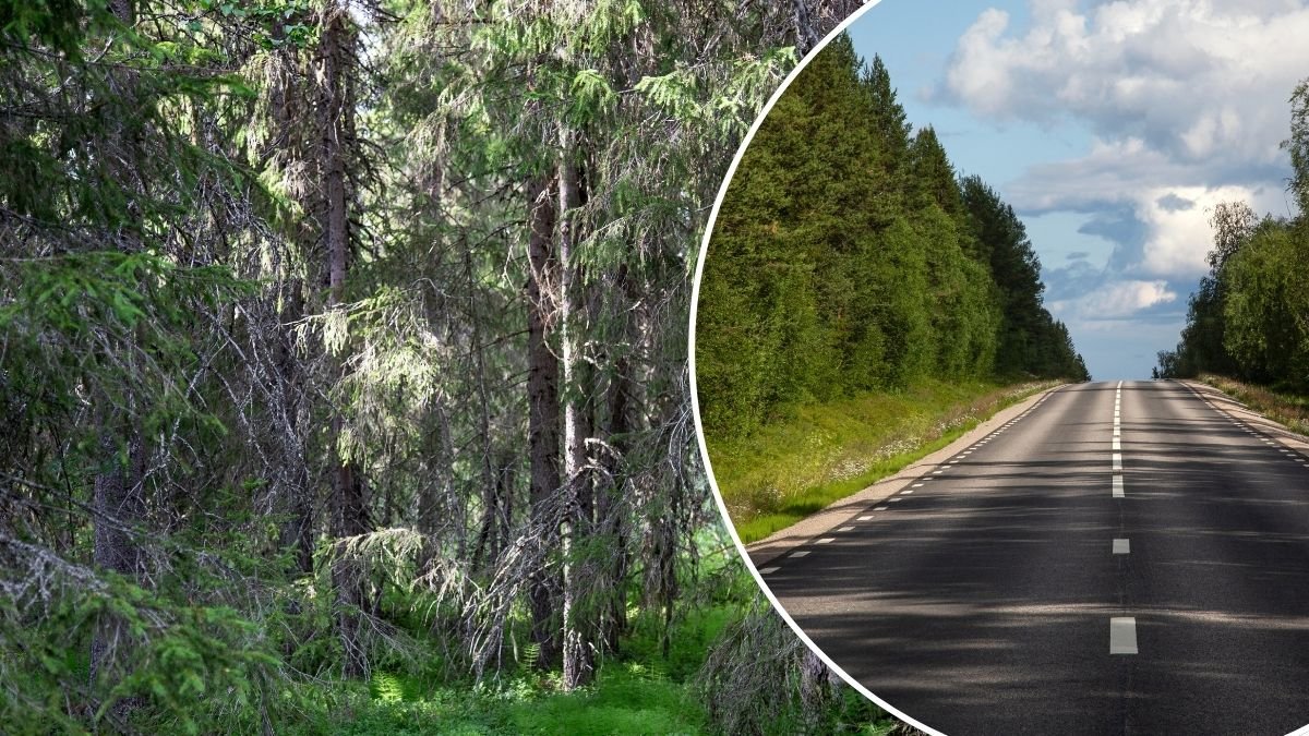 Kraftigt jordskalv i Västerbotten