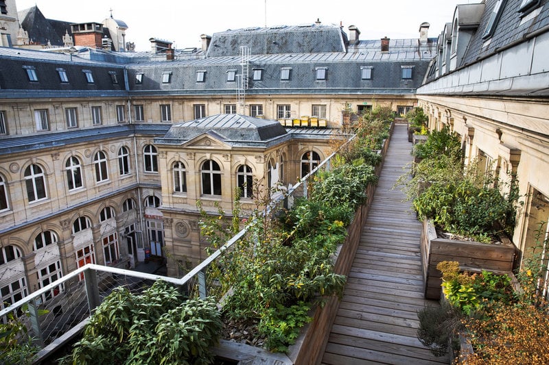 På Roofscapes takplantering växer timjan, rosmarin och lavendel men också jordgubbar. Trädäcken de står på är av franska tall- och lärkträd. Eftersom originaltaket sluttar har däcken lagts på pålar för att bli plana.