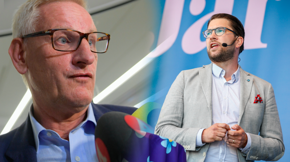 Moderaternas för detta partiledare Carl Bildt kallar SD:s politik "farlig". 