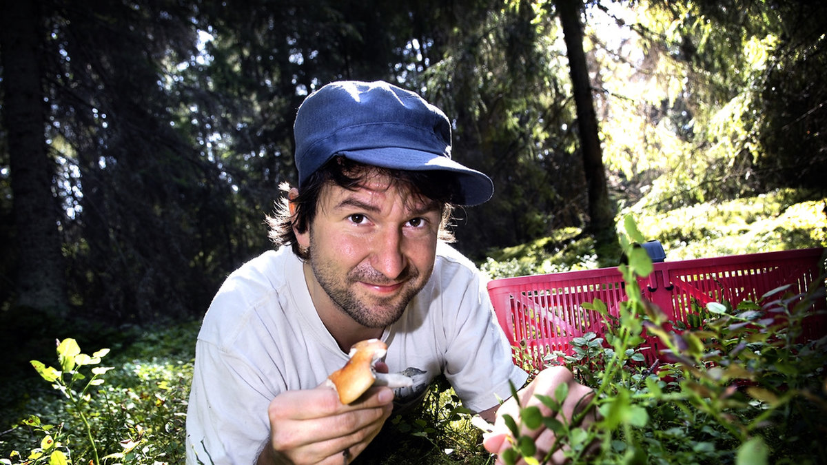 Mykologen Michael Krikorev driver bland annat en svampguide på nätet. Arkivbild.