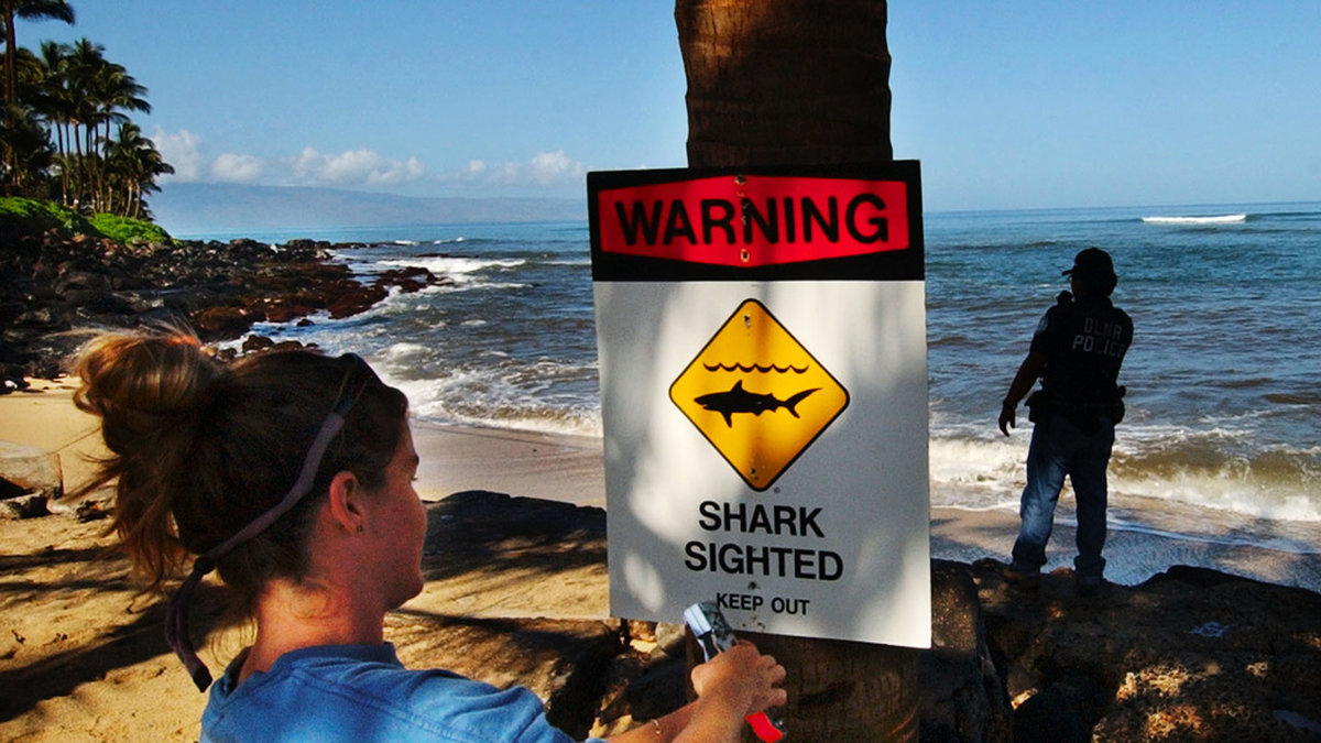 Tidigare hajvarning på Kahana beach i Kahana, Hawaii. Arkivbild.