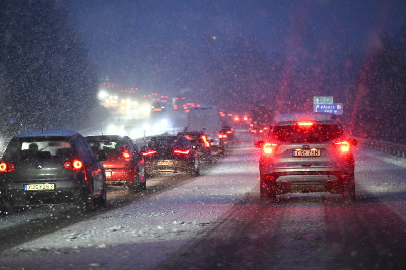 Foto: Fredrik Sandberg/TT