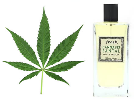 9. Cannabis-parfym: Träaktig doft blandad med citrus och varma noter av choklad och vanilj.