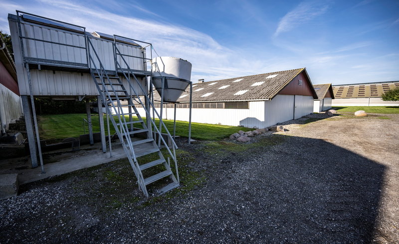 Staten ska riva byggnaderna och arealen ska återställas till jordbruksmark. 'Jag har inte fantasi att förstå hur de ska hitta jord till 1 100 farmer', säger Ann-Mona Kulsø Larsen.