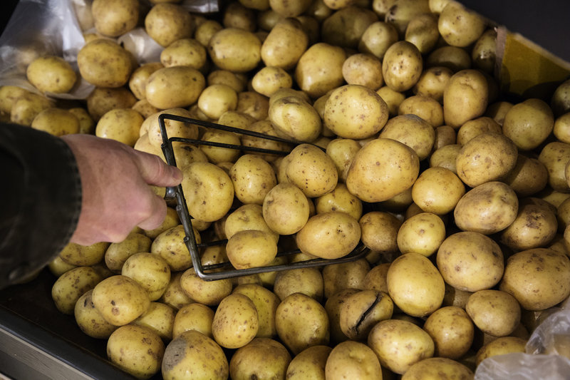 Potatis är en av de mest besprutade grödorna i europeisk livsmedelsproduktion. Arkivbild.