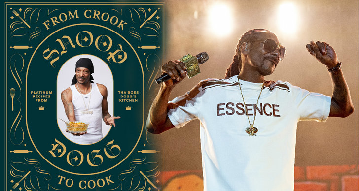 Snoop Dogg, Hollywood