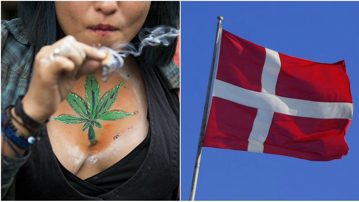 Danmark ska under fyra år testa att tillåta medicinsk cannabis. 