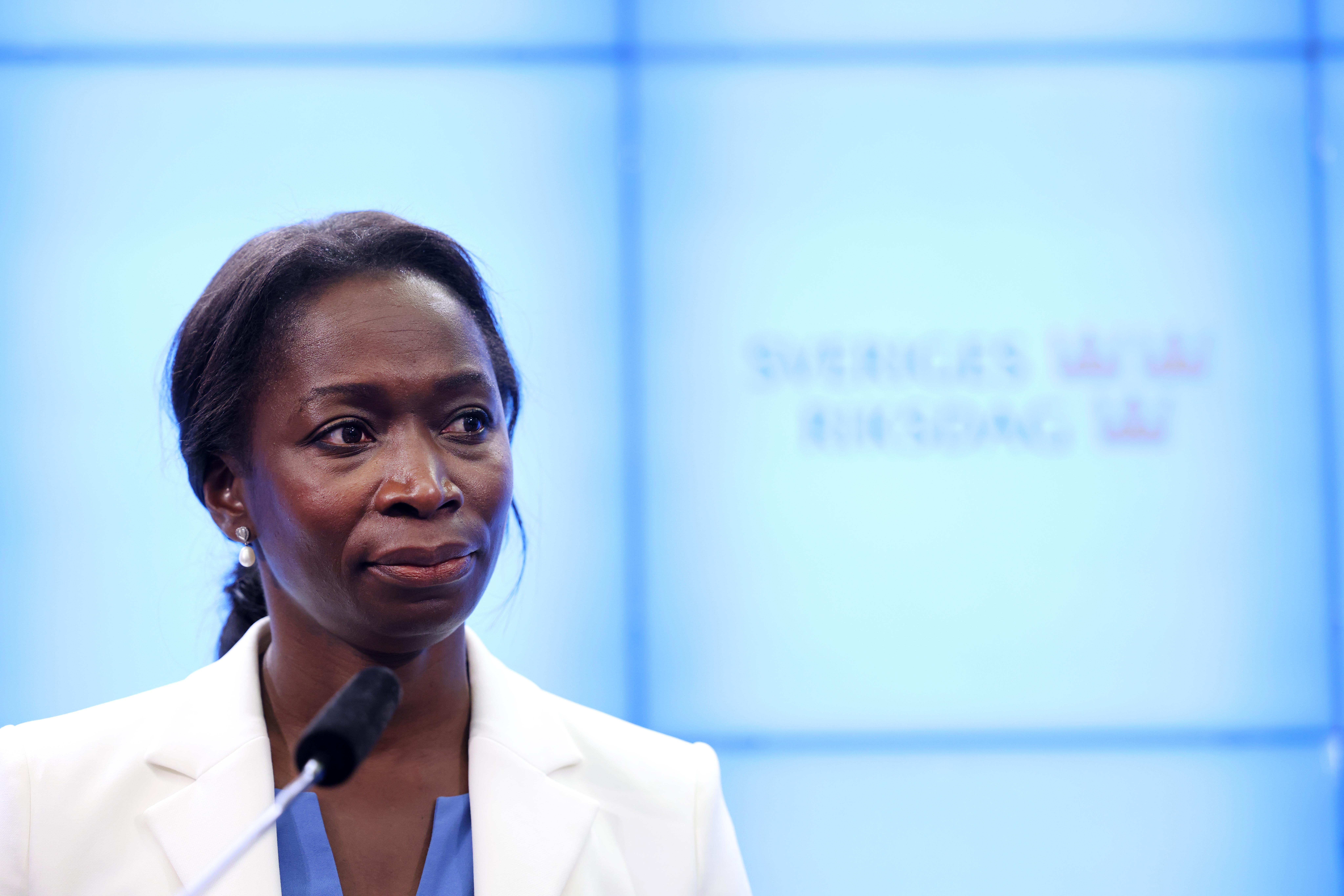 Nyamko Sabuni, Liberalerna, Sverigedemokraterna