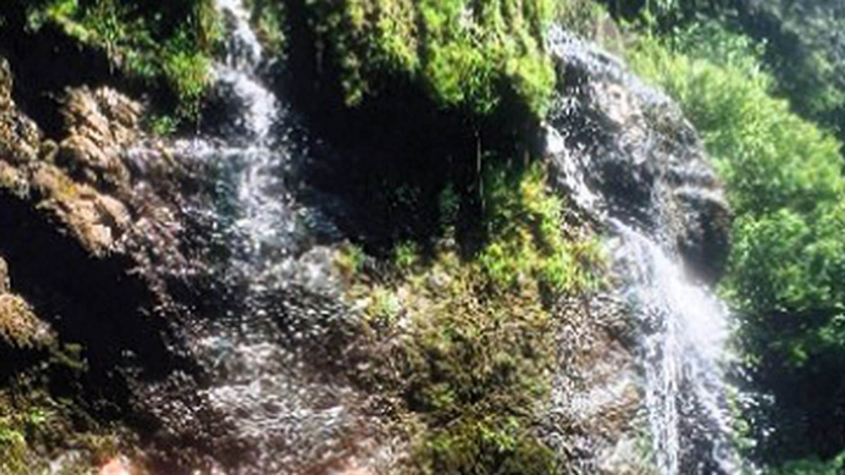 Cara Delevingne i ett vattenfall. 