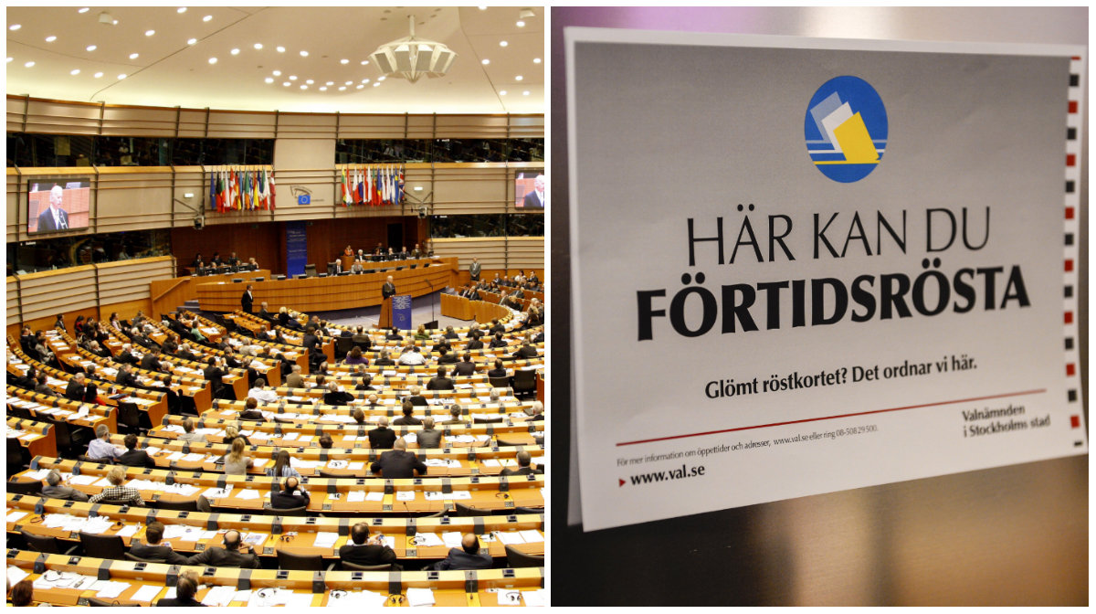 I Europaparlamentet har Sverige 20 mandat. 