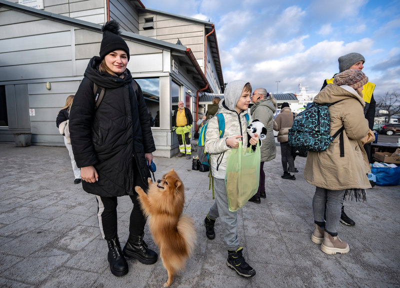 Katya Tarbes är på flykt från Kiev med sin lilla hund som enda ressällskap. Men snart får hon träffa pojkvännen i Göteborg.