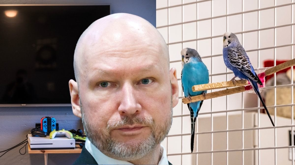 Tv-spel och husdjur – så lever Anders Breivik i fängelset