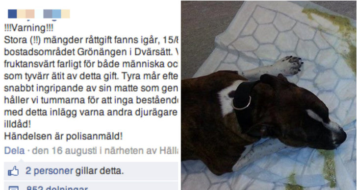 Östersund, Facebook, Polisen, Hund, Varning
