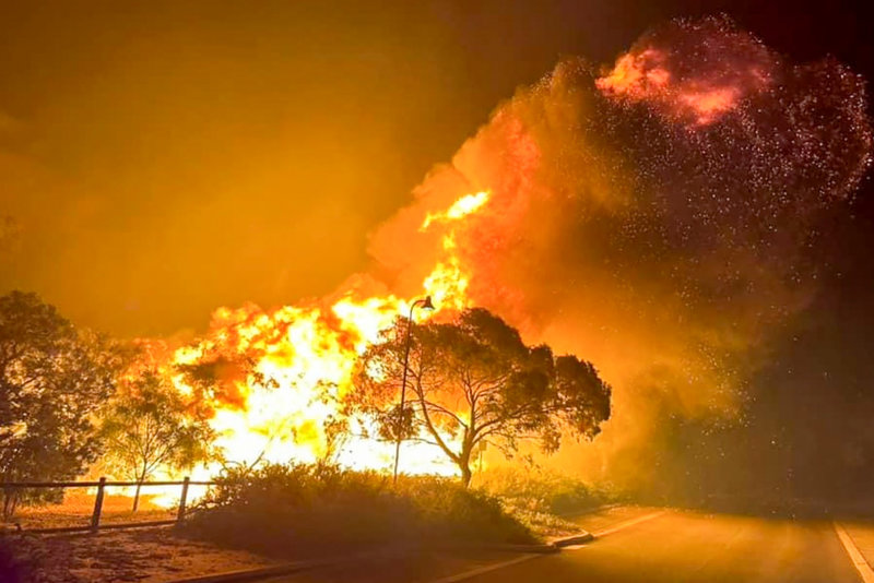 Australien, Amazonas och Nordvästra USA får oftast torra och varma förhållanden under El Niño, vilket ökar risken för omfattande skogsbränder. På bilden en brand utanför Perth i Australien 2023. 