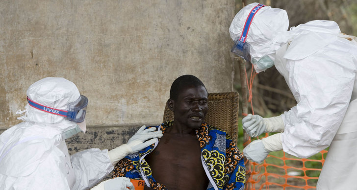Västafrika, Ebola, epidemi, Virus