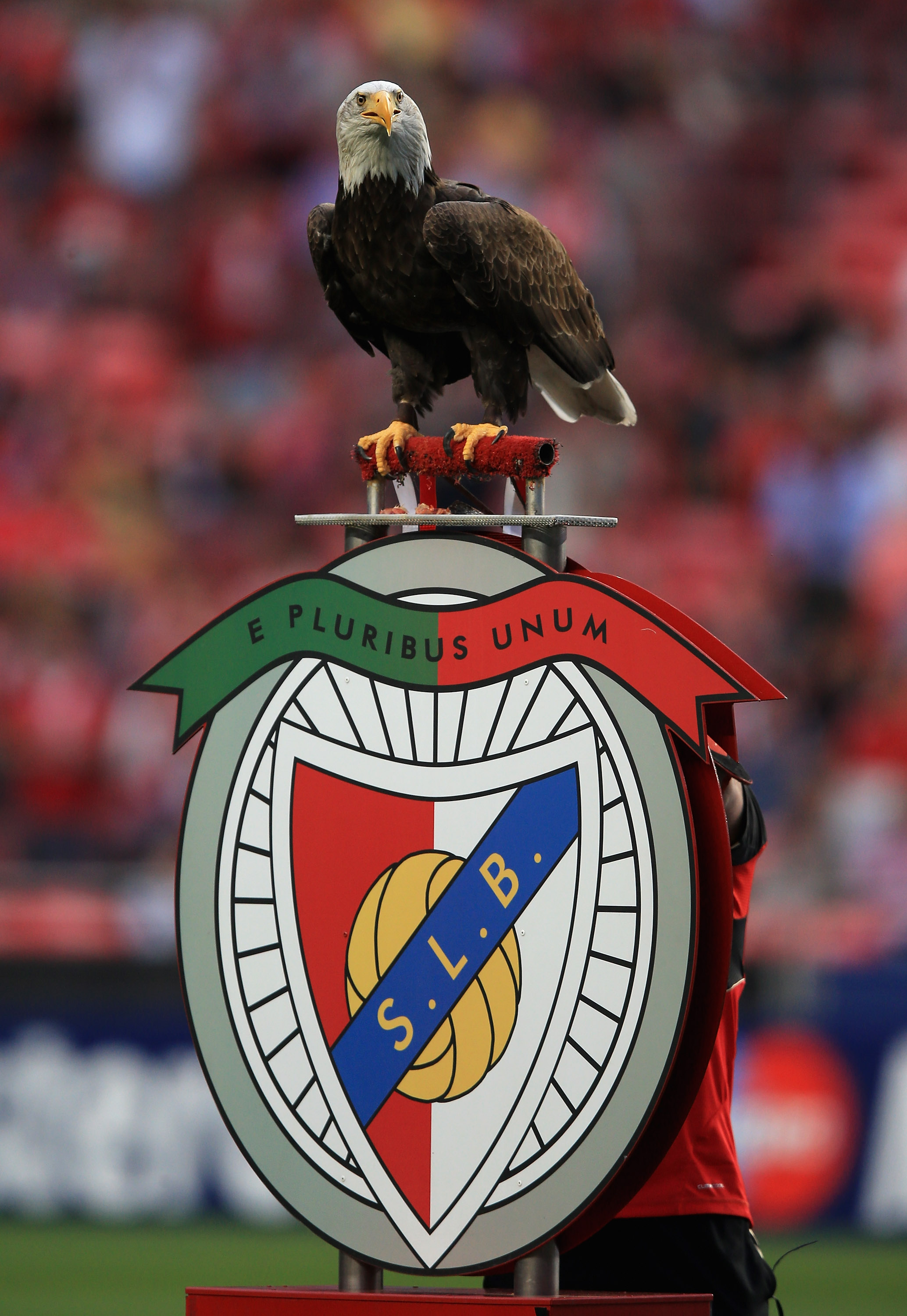Chelsea mötte Benfica i semifinalen.