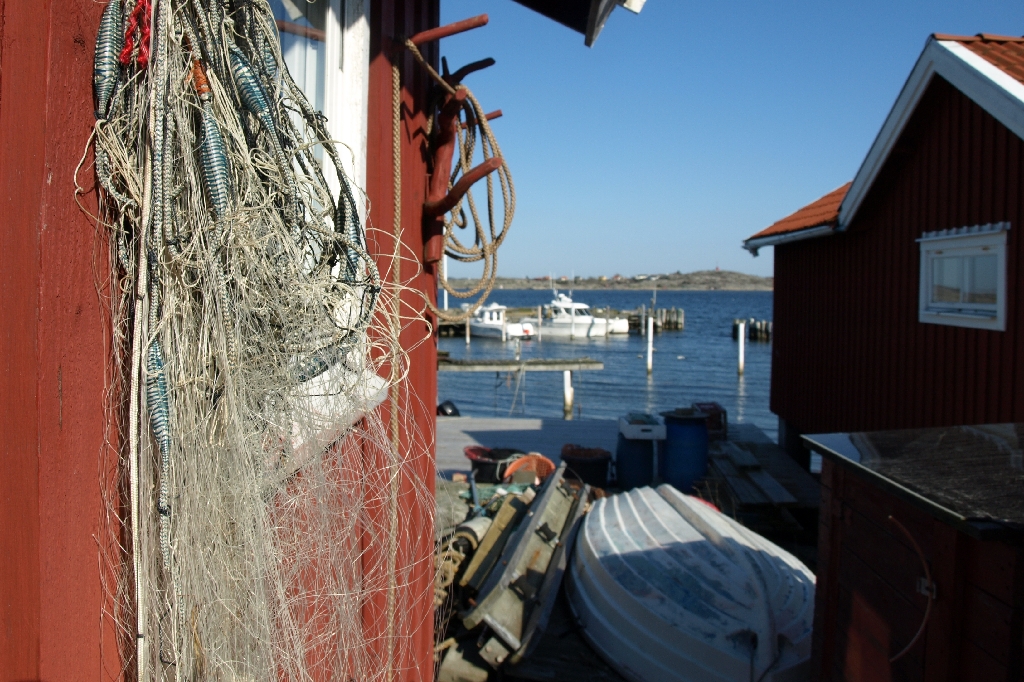 Brott mot fiskelagen förekommer en del i kommunen som liksom större delen av västkusten har ett stort intresse för fiskeri.