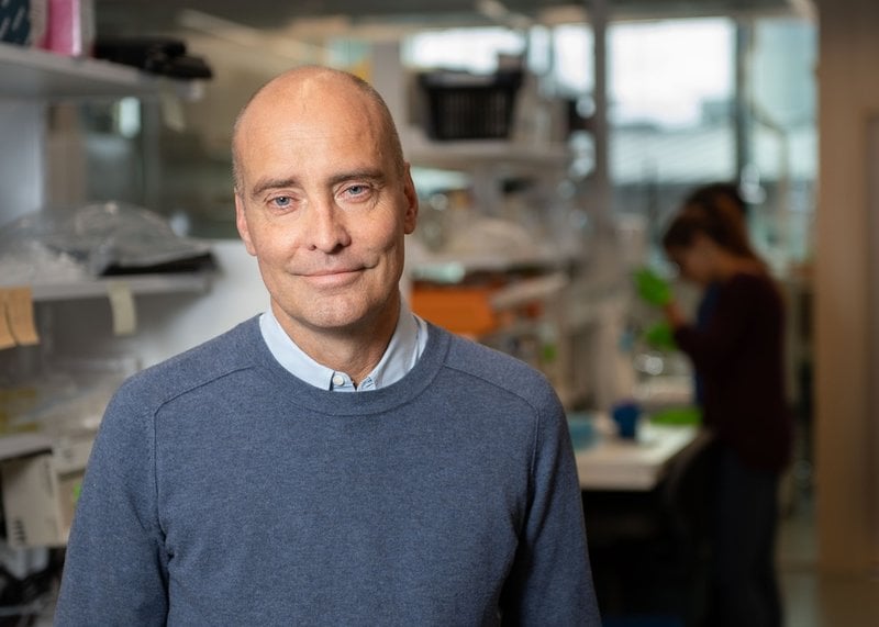 Jonas Frisén, professor i stamcellsforskning vid institutionen för cell- och molekylärbiologi vid Karolinska Institutet. Pressbild.