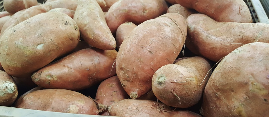 Sötpotatis Sötpotatis