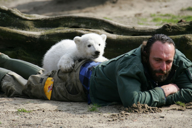 Thomas Doerflein tillsammans med björnungen Knut. Thomas hittades död i sin lägenhet 2008. 