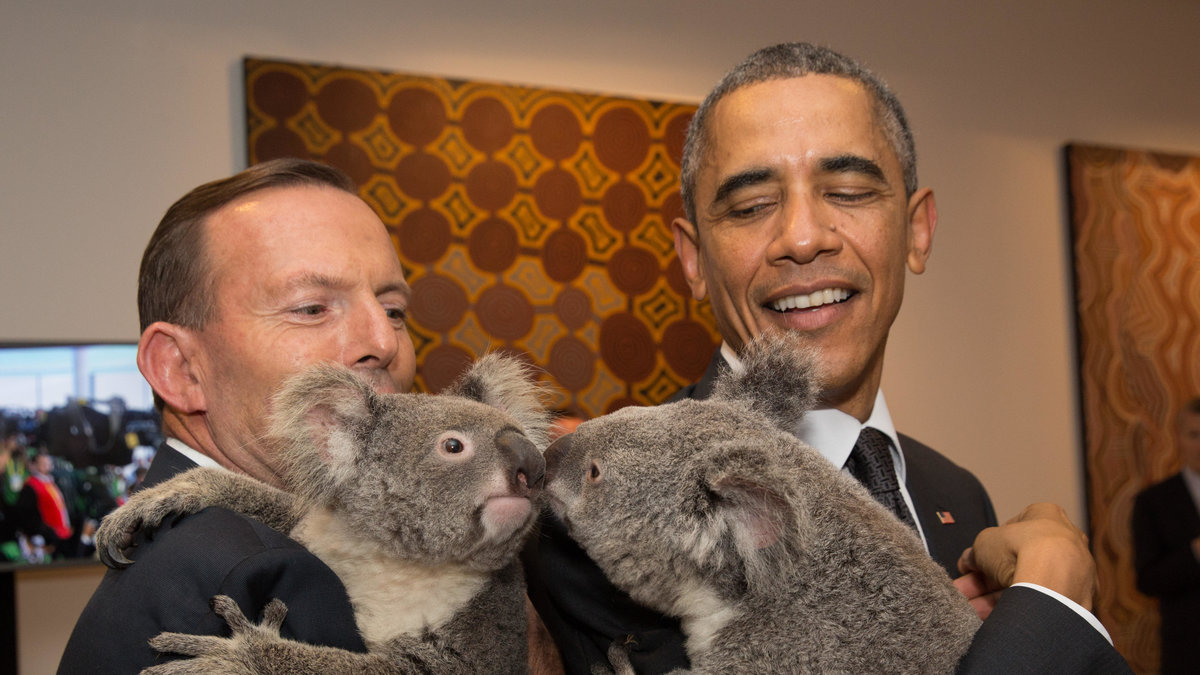 Koalapuss. Australiens premiärminister Tony Abbott och president Barack Obama vid G20 mötet i Brisbane. 