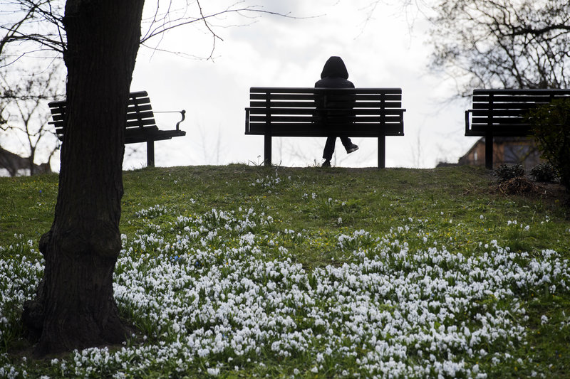 Foto: Jessica Gow/TT