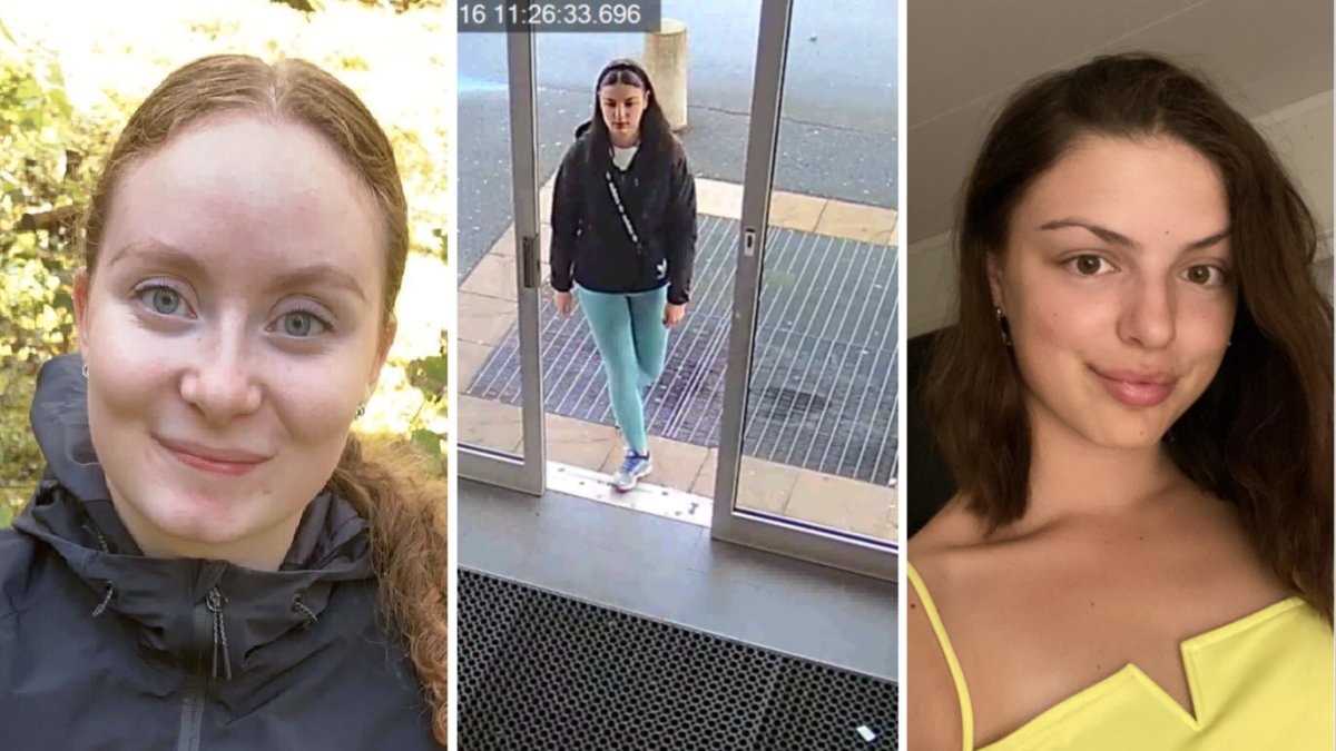 Den 20-åriga kvinnans sökhistorik är fylld av sökningar relaterade till mordet på Tove i Vetlanda 