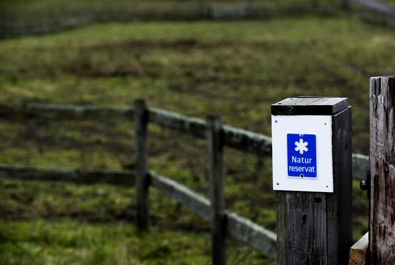 Skötseln av naturreservat riskerar att bli eftersatt på grund av regeringens minskade budget. Arkivbild.