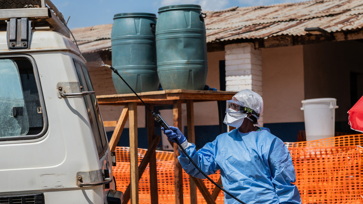 Över 100 döda i ebola – minst 500 smittade
