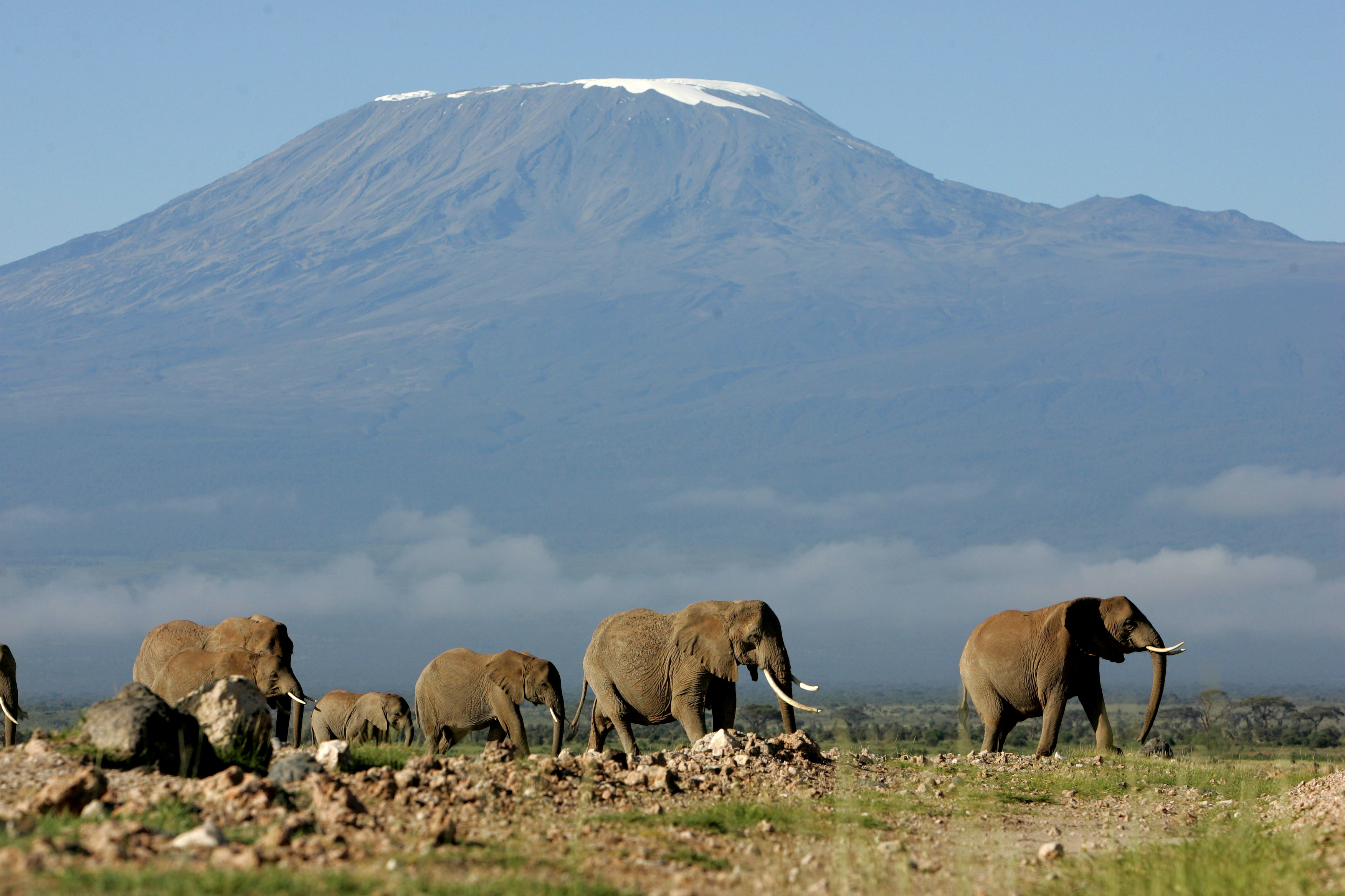 Kilimanjaro ligger i norra Tanzania och är 5 892 meter högt.