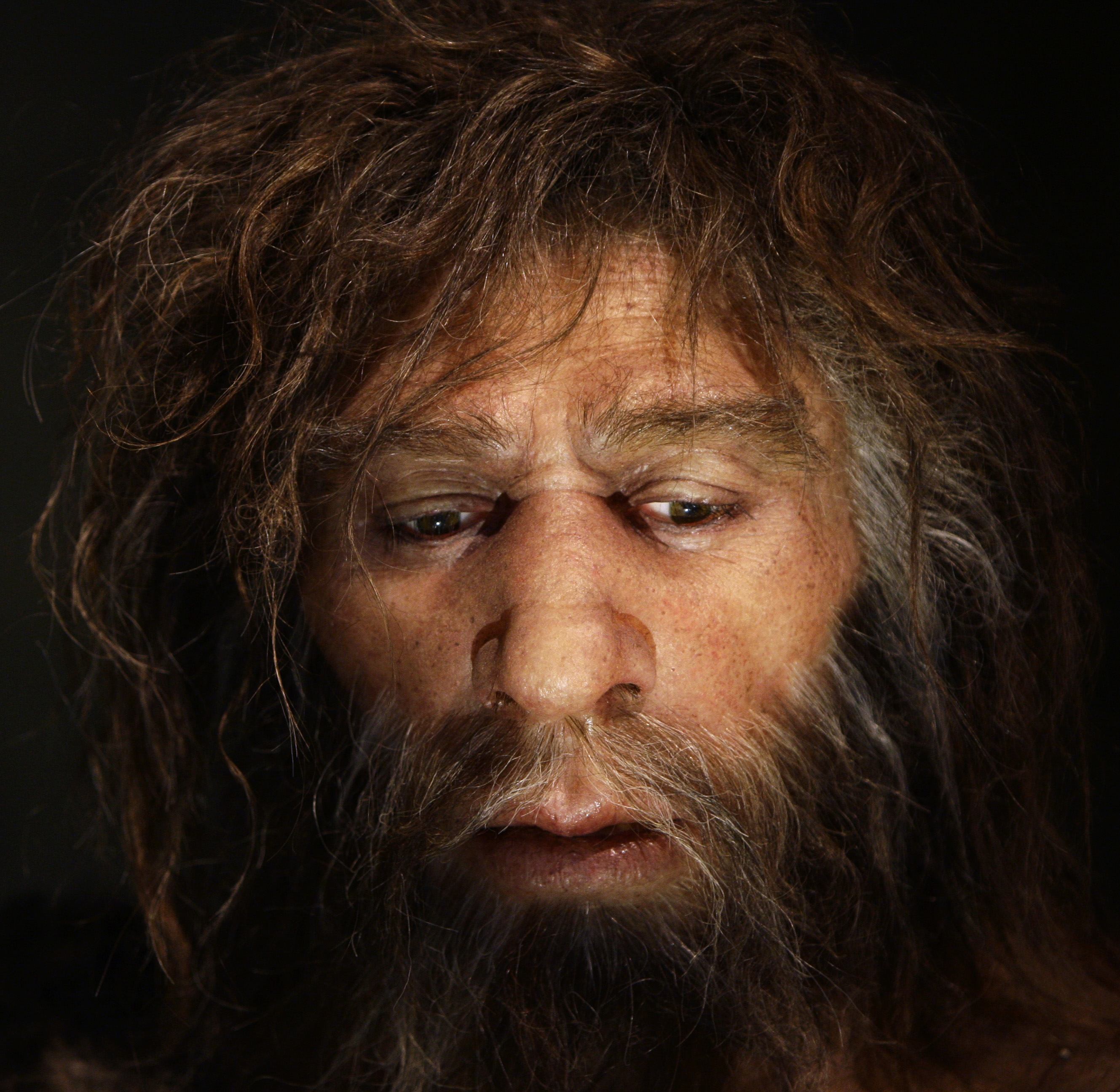 Ungefär så här såg en manlig neandertalare ut. 