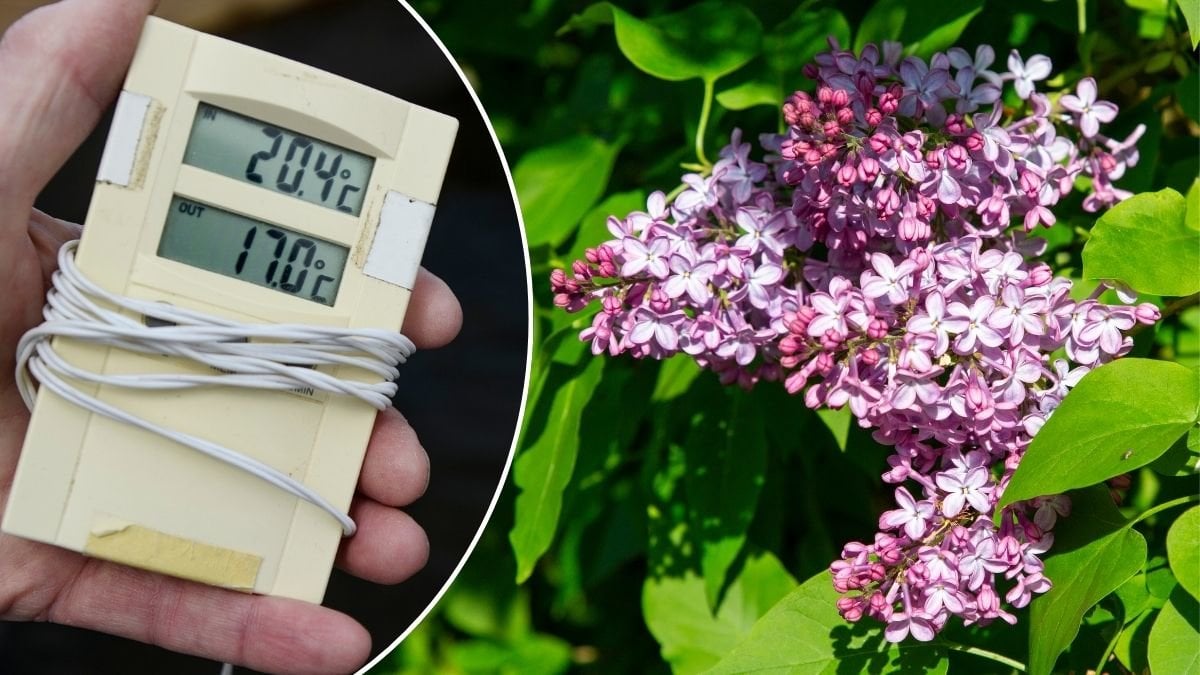SMHI: Här blir det 15 grader och sol på Kristi himmelsfärd