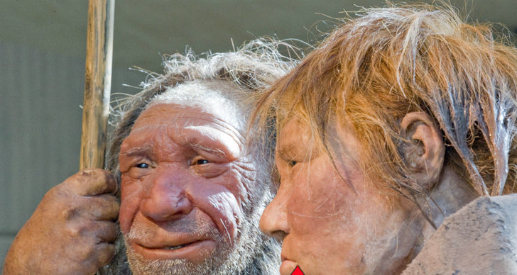 Neanderthalare, Forskning, Kannibalism, Vetenskap