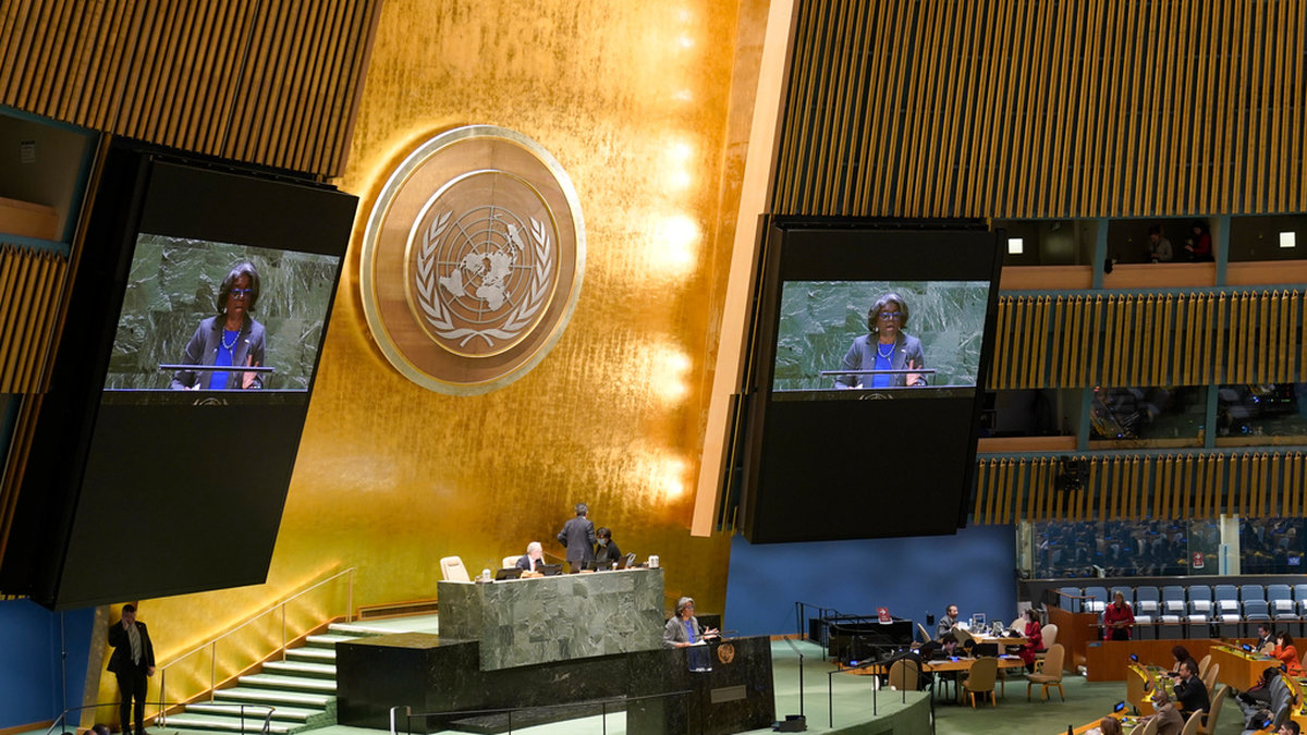 USA:s FN-ambassadör Linda Thomas-Greenfield talar till generalförsamlingen inför torsdagens omröstning.