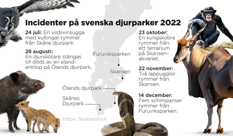 Incidenter på svenska djurparker 2022.