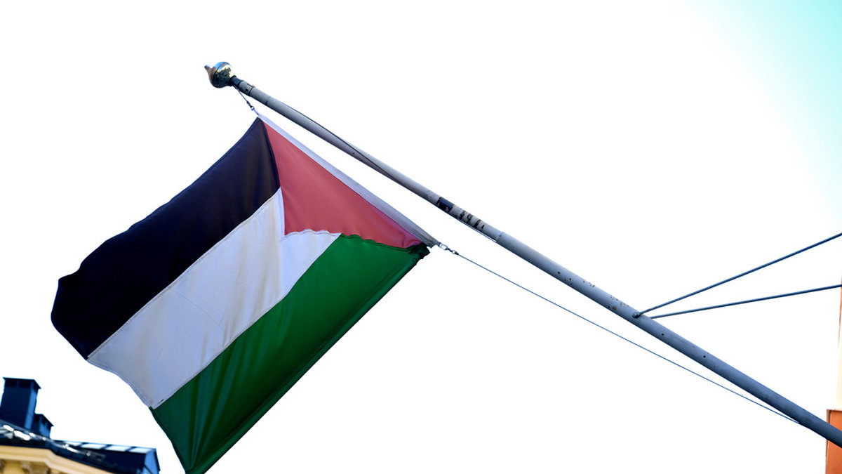 Det kommer inte vara tillåtet att ta med sig Palestinas flagga in i arenan i Malmö under eurovision. Arkivbild.
