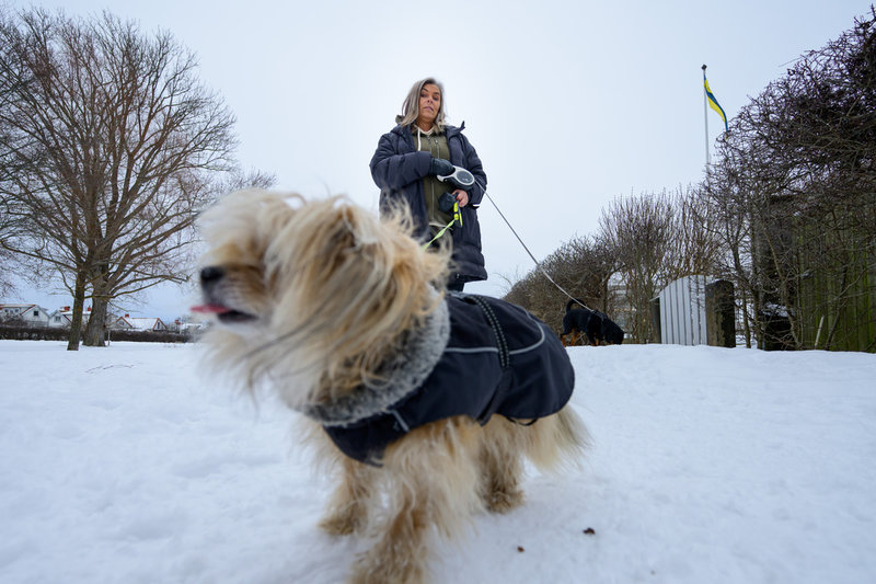 Mona Wallsén med lilla hunden Pontus. I bakgrunden syns rottweilern Brasse.