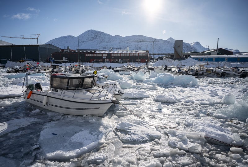 Fiskehamnen i Nuuk på Grönland. Foto: Johan Nilsson/TT